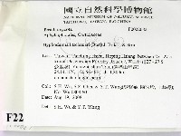 登錄號:F0022683藏品圖，第2張