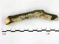 登錄號:F0022683藏品圖，第1張