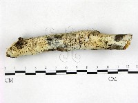 登錄號:F0022683藏品圖，第3張