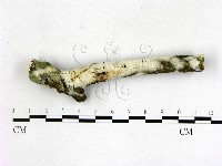 登錄號:F0022684藏品圖，第1張