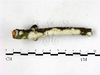 登錄號:F0022684藏品圖，第3張