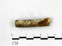 登錄號:F0022685藏品圖，第1張