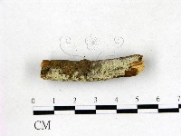 登錄號:F0022685藏品圖，第3張