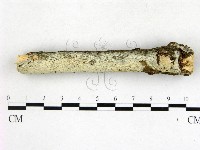 登錄號:F0022686藏品圖，第1張