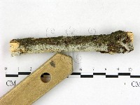 登錄號:F0022686藏品圖，第3張