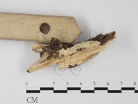 登錄號:F0022687藏品圖，第1張