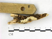 登錄號:F0022687藏品圖，第3張