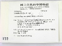 登錄號:F0022688藏品圖，第2張