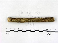 登錄號:F0022688藏品圖，第3張