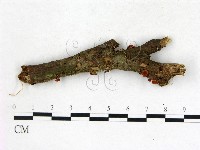 登錄號:F0022689藏品圖，第3張