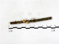 登錄號:F0022690藏品圖，第1張