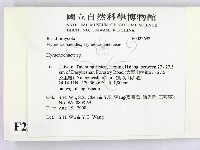 刺革菌屬藏品圖，第2張