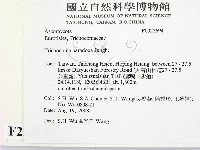 登錄號:F0022694藏品圖，第2張