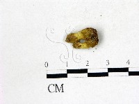 登錄號:F0022694藏品圖，第1張