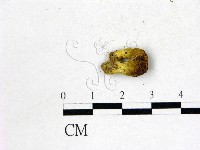 登錄號:F0022694藏品圖，第3張