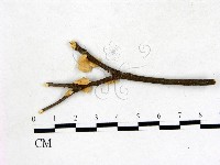 登錄號:F0022695藏品圖，第3張