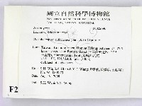 登錄號:F0022696藏品圖，第2張