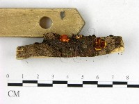 登錄號:F0022696藏品圖，第3張