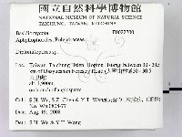 登錄號:F0022700藏品圖，第2張