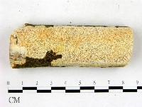 登錄號:F0022700藏品圖，第1張