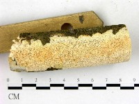 登錄號:F0022700藏品圖，第3張