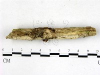 登錄號:F0022702藏品圖，第3張