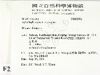 顯絲菌屬藏品圖，第2張