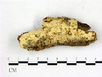 登錄號:F0022708藏品圖，第1張