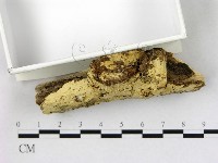 登錄號:F0022708藏品圖，第3張