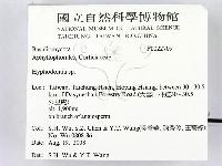 絲齒菌屬藏品圖，第2張