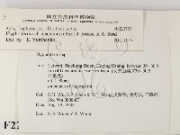 登錄號:F0022710藏品圖，第2張