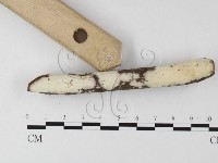 登錄號:F0022710藏品圖，第1張