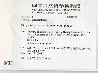 登錄號:F0022712藏品圖，第2張