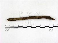登錄號:F0022712藏品圖，第1張