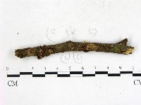 登錄號:F0022713藏品圖，第1張