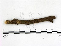 登錄號:F0022713藏品圖，第3張