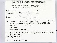 刺革菌屬藏品圖，第2張