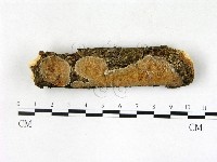 登錄號:F0022716藏品圖，第1張