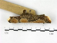 登錄號:F0022716藏品圖，第3張