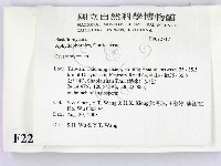 登錄號:F0022717藏品圖，第2張