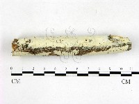 登錄號:F0022717藏品圖，第1張