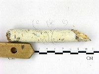 登錄號:F0022717藏品圖，第3張