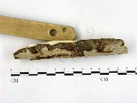 登錄號:F0022718藏品圖，第3張