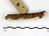 登錄號:F0022719藏品圖，第3張