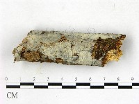 登錄號:F0022722藏品圖，第1張