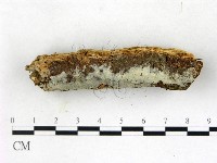 登錄號:F0022722藏品圖，第3張