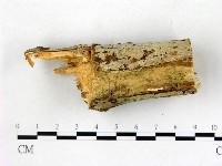 登錄號:F0022723藏品圖，第1張