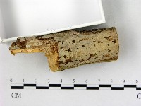 登錄號:F0022723藏品圖，第3張