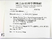 登錄號:F0022724藏品圖，第2張