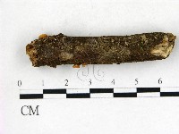 登錄號:F0022724藏品圖，第1張